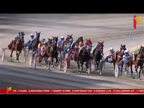 V Corsa del 7 Maggio 2023 - 4 Anni - Metri 2000