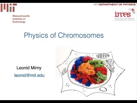 Physics of your chromosomes