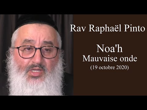 Rav Raphaël Pinto - 02 Noa'h - Mauvaise onde