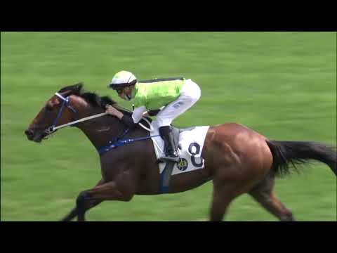 13/3/2021 (498) Killer Bee - B Shinn