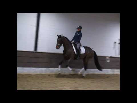 BELIZE 3j. v. Buckingham - Fürst Romancier VB 15.000,- Euro