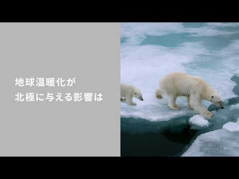 北極地域の衛星写真