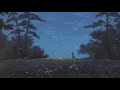 John Mayer Free Fallin Live Slowed Reverb