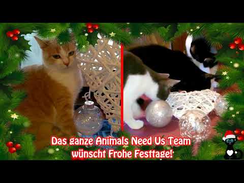 Fröhliche Weihnachten wünscht ANU Schweiz