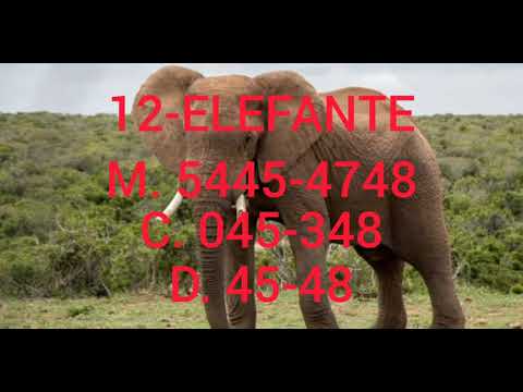 PALPITES DO JOGO DO BICHO 30/10/2020 PALPITE DO EDDY 🍀🍀✍️.