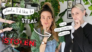 Stealing Houseplants From @GoodGrowing 🌱 10 Plants I'd Steal From My BFF's Collection!