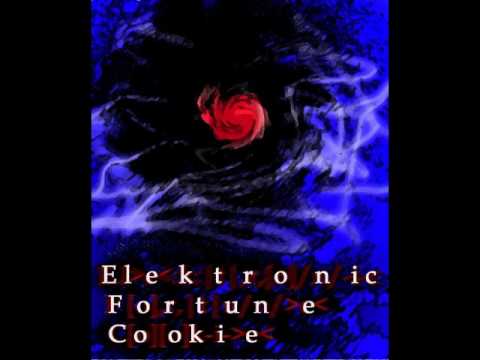 Elektronic Fortune Cookie - Backspace