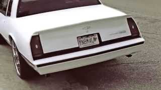 Bankroll Bookie - Still