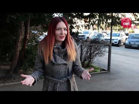 Art scena – Jelena Galetin Žakić: Kultura i pandemija