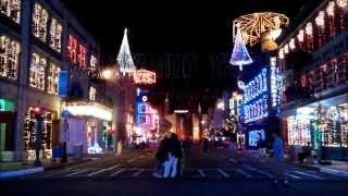 Disney Hollywood Studios Christmas Lights 2013 "Big Bad Voodoo Daddy-Christmas Is Starting Now"