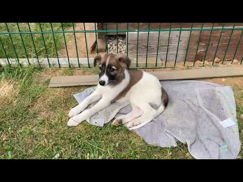 16.06.2023 - früh am Morgen und noch sind alle da, aber Kjell zieht heute aus.