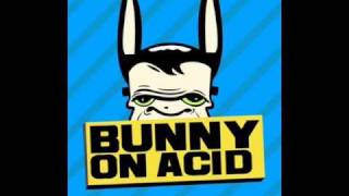Bunny on acid - A caveman dance [Promo]