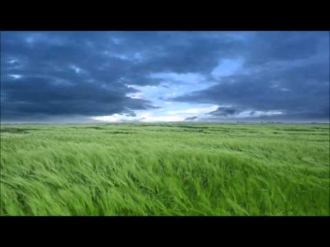 Vicetone - Chasing Time (Codeko Remix)