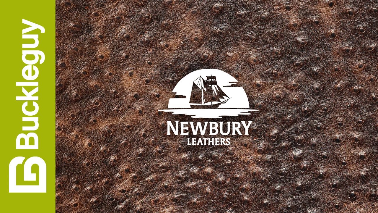 Newbury Leathers, Ostrich Embossed | Brown | USA Leather Demo