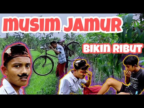 musim-jamur-barat-niatnya-berburu-jamur-malah-ribut-komedi-madura