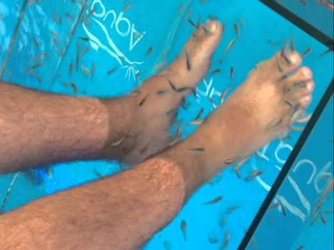 EL NEN -  ME LO PONES CHACHI 2014 01 CHACHI