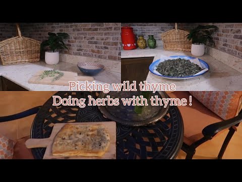 Summer garden tour - Picking wild thyme | Life with Hadeel