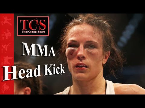 Mixed Martial Arts Head Kick Knockout