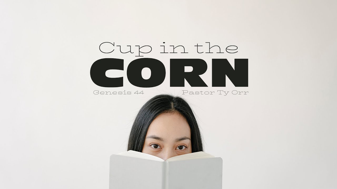 Cup in the Corn