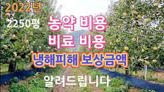 2022년 사과나무 농약 값/비료 값/냉해피해 보상금액/공개합니다