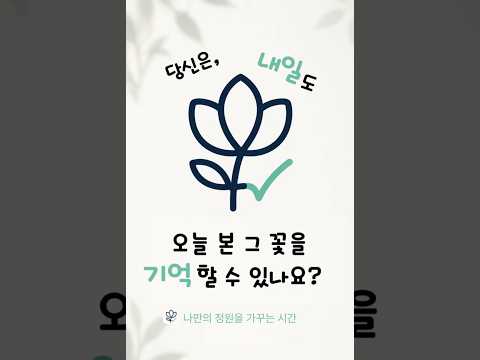 블룸체크 - 꽃으로 만드는 내 루틴 video thumbnail