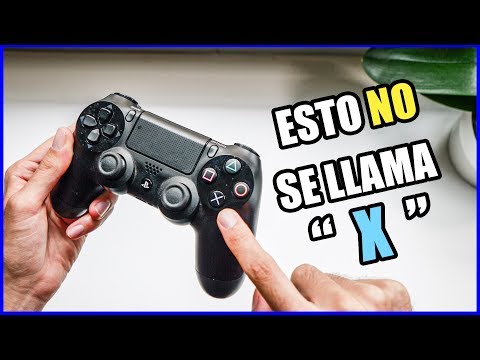 esto se llama CRUZ 🤔NOS HEMOS EQUIVOCADO TODO ESTE TIEMPO