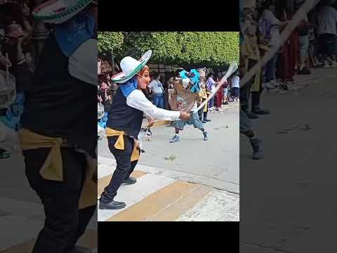Torito San Antonio familia Rocha Toro vs caballito