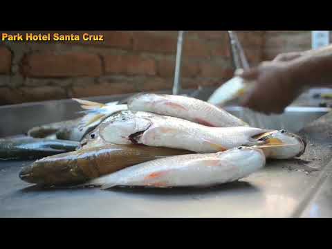 Vídeo novo do Portal Tumiritinga - viagens, turismo, gastronomia e diversão