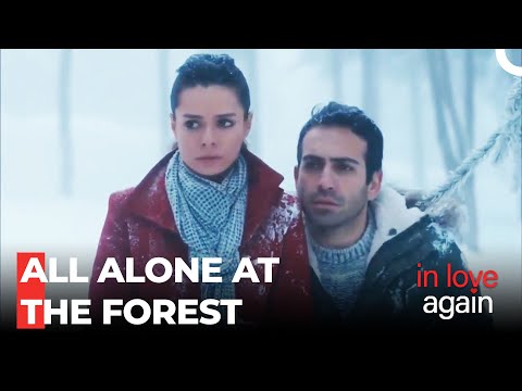 Fatih And Zeynep's Romantic Forest Time - In Love Again