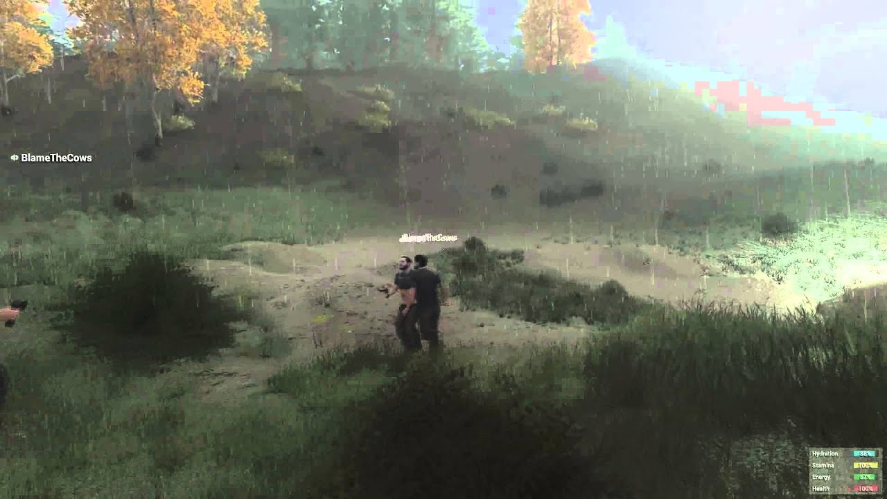 Miniature vidéo