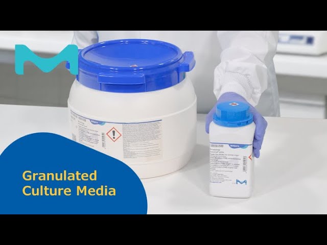 imagen-video-thefoodtech