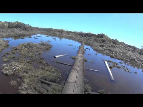 MAH08169 swamp lake crossing