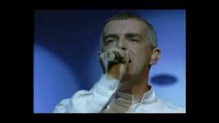 I Cried for Us , Pet Shop Boys