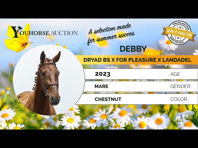 Debbi