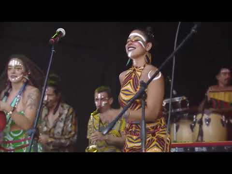 Newen Afrobeat - Voraz 3/31/19  Lollapalooza Chile