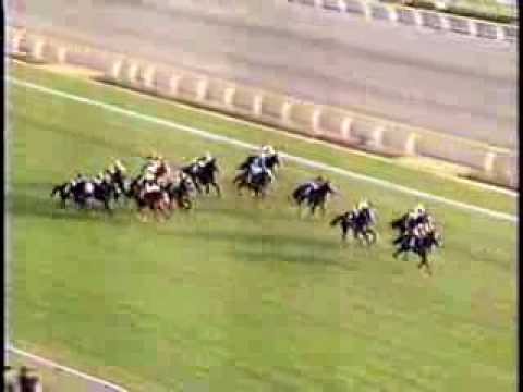 THE 18th JAPAN CUP【GⅠ】1998《El Condor Pasa》／第18回ジャパンカップ　《エルコンドルパサー》