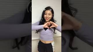 #고양이송 #묘묘묘묘