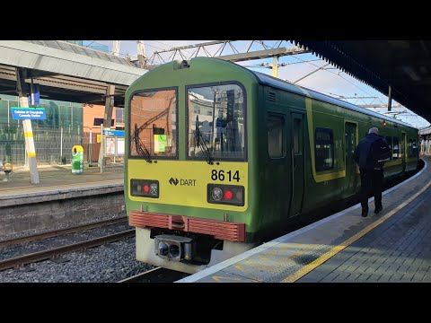 *Smooth* Dublin Dart Unit 8614