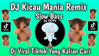 Download lagu DJ KICAU MANIA SLOW BASS VIRAL TIKTOK NEWEST 2026 mp3