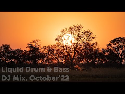 Liquid Drum & Bass DJ Mix, October'22