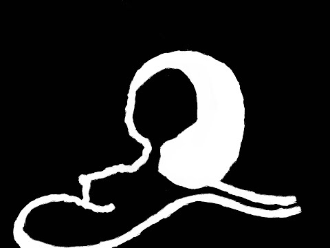 ALIS HOWS - Female (Marching at Night Version) Lyrics MV