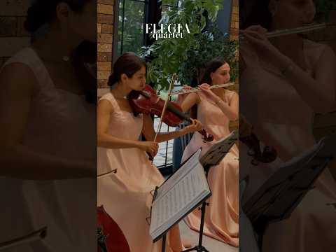 Elegia Quartet
