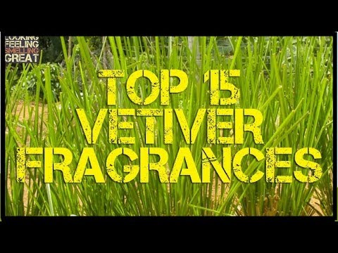 Top 15 Vetiver Fragrances  |  Best Vetiver Perfumes  |  My Favorite Vetiver Colognes Video