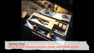 Average Mammals - Life Under The Influence Full Length Preview