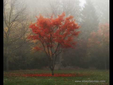 Peter Hammill- Autumn