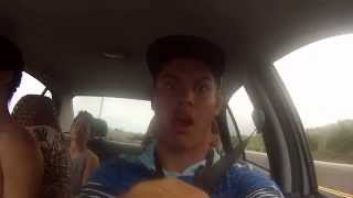 Intro to the zoo crew