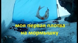 Ловля плотвы в челябинской области