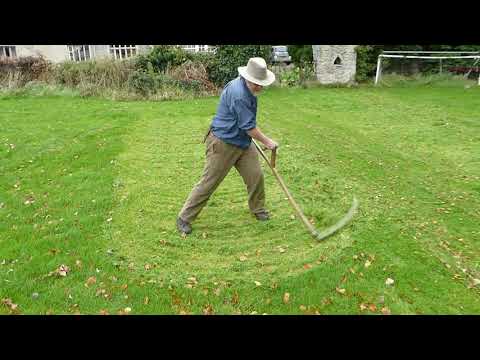 Autumn mowing lawns and meadows with a scythe