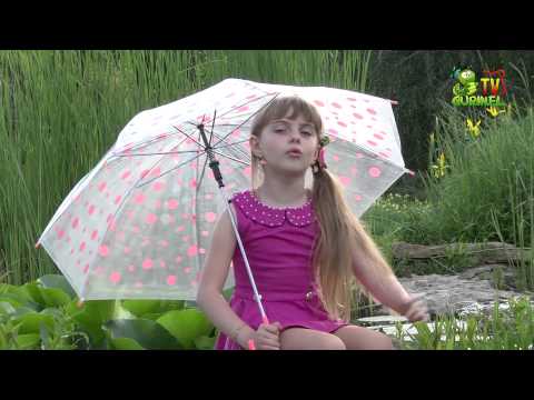 Dumitria Cuibari - Miros de ploaie