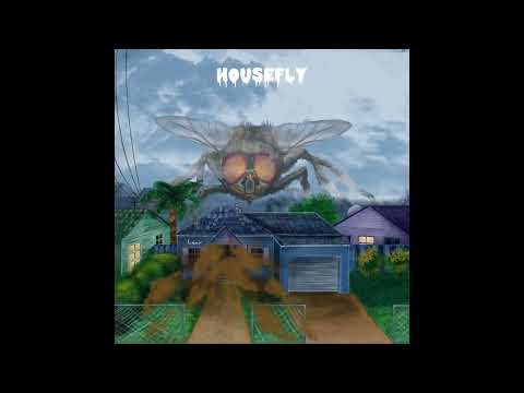 Leair - Housefly (Audio)
